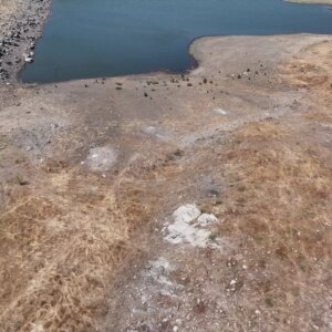 kuraklik edirnede tarimi vurdu AzQiDKJk