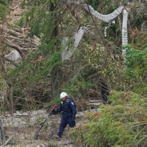 sel 110 milyon yillik ayak izlerini aciga cikardi kgeaM6Iy