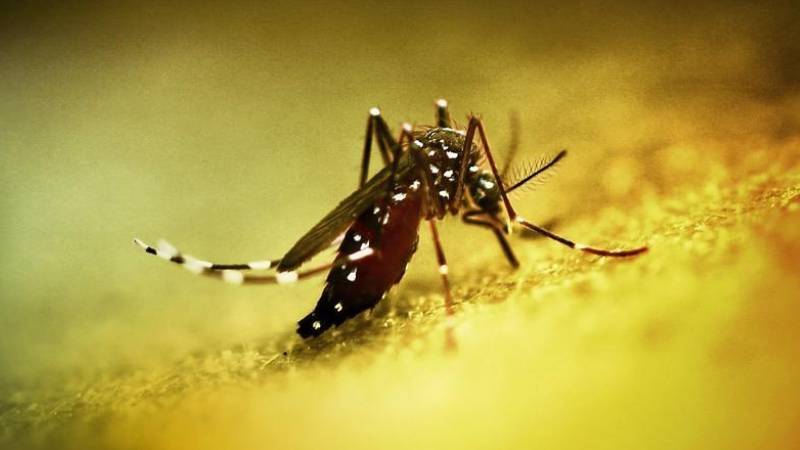 Çin’de halk sağlığı acil durumu ilan edildi! cinde halk sagligi acil durumu ilan edildi gyyAKbw7