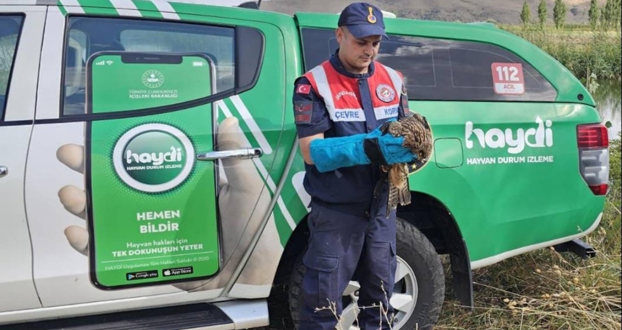 musta yarali kartal tedavi altina alindi kHOLWgck