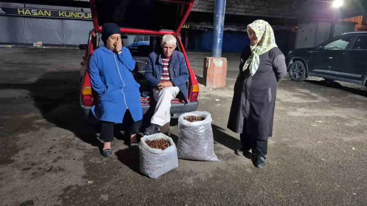 kuraklik kestane rekoltesini vurdu fiyatlar yukseliyor 2fGDGz76.jpg