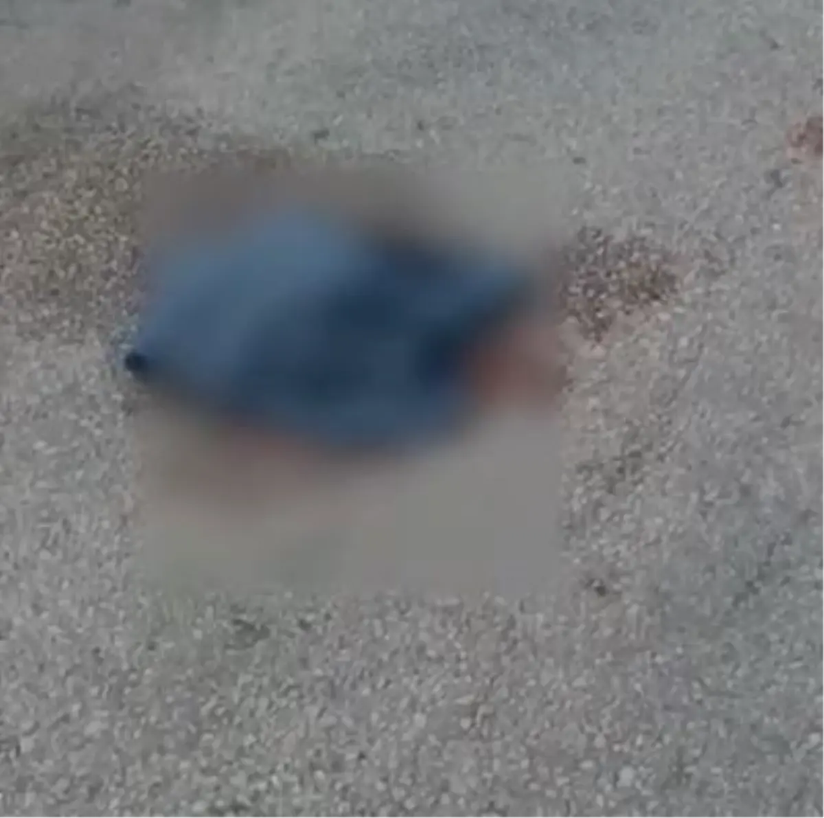 traktorle carpisan motosiklet surucusu hayatini kaybetti 5ZXz34uZ