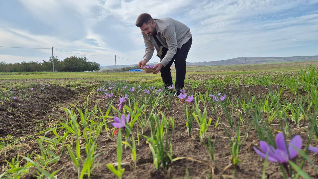 bir cicekten 3 tel cikiyor kilosu 600 bin lira 8knnahww.jpg
