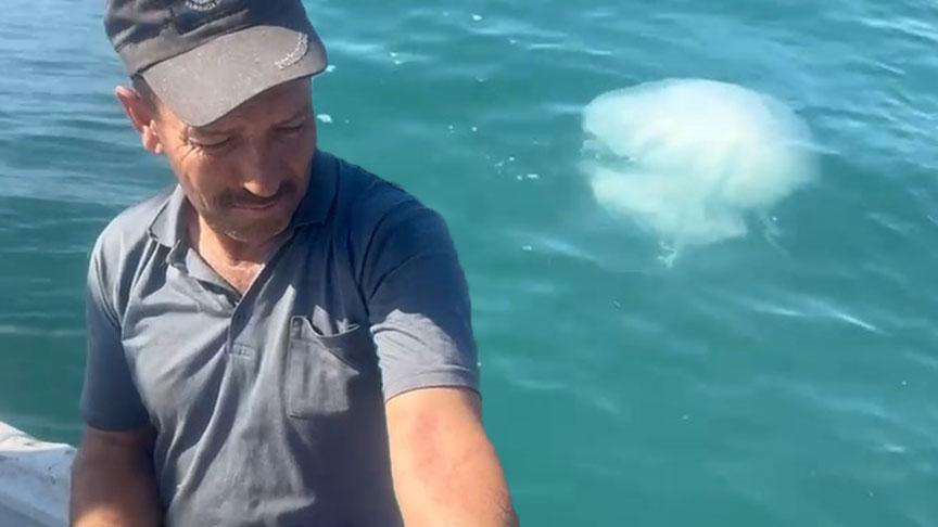 korkutan uyari geldi zehirli kesinlikle temas etmeyin qMicCiuE.jpg